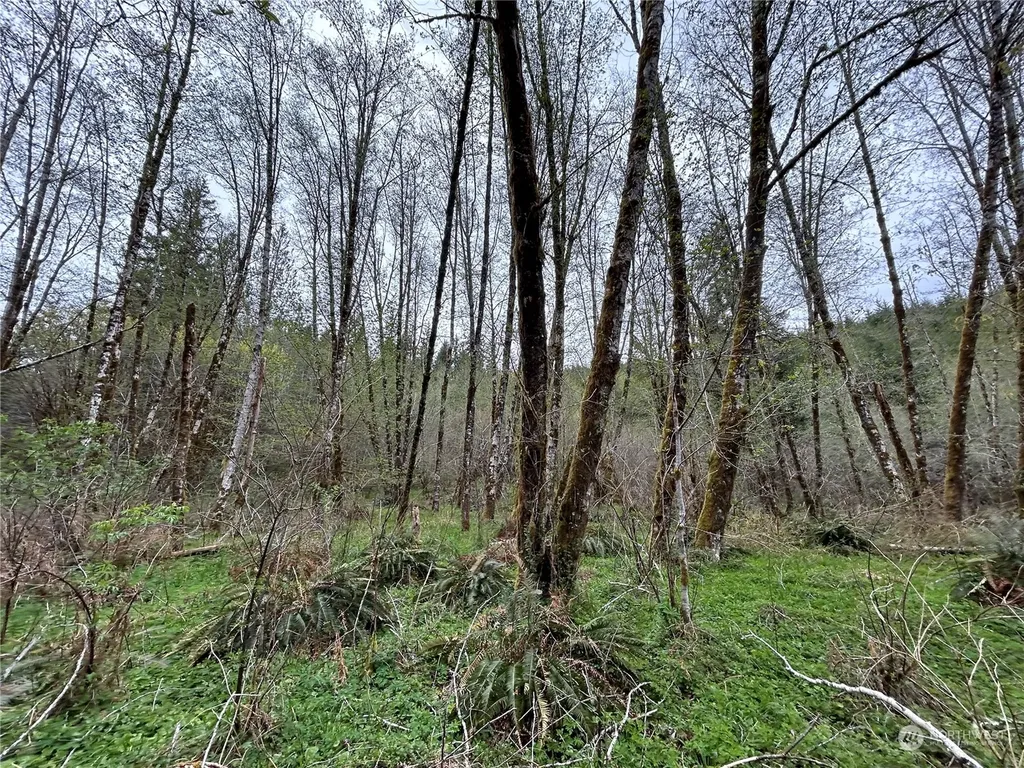 0 Abernathy Creek Road Longview WA 98632