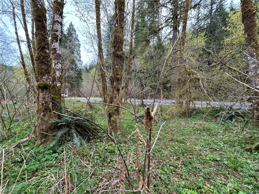 0 Abernathy Creek Road Longview WA 98632