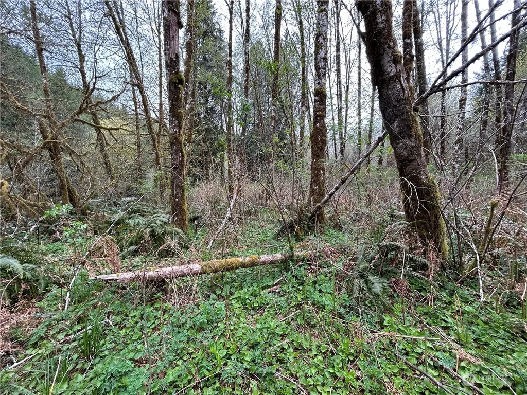 0 Abernathy Creek Road Longview WA 98632