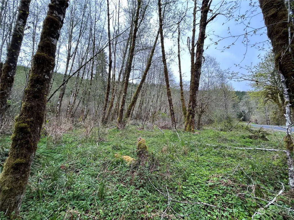 0 Abernathy Creek Road Longview WA 98632