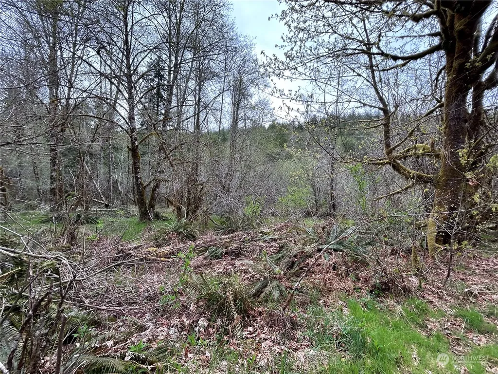 0 Abernathy Creek Road Longview WA 98632
