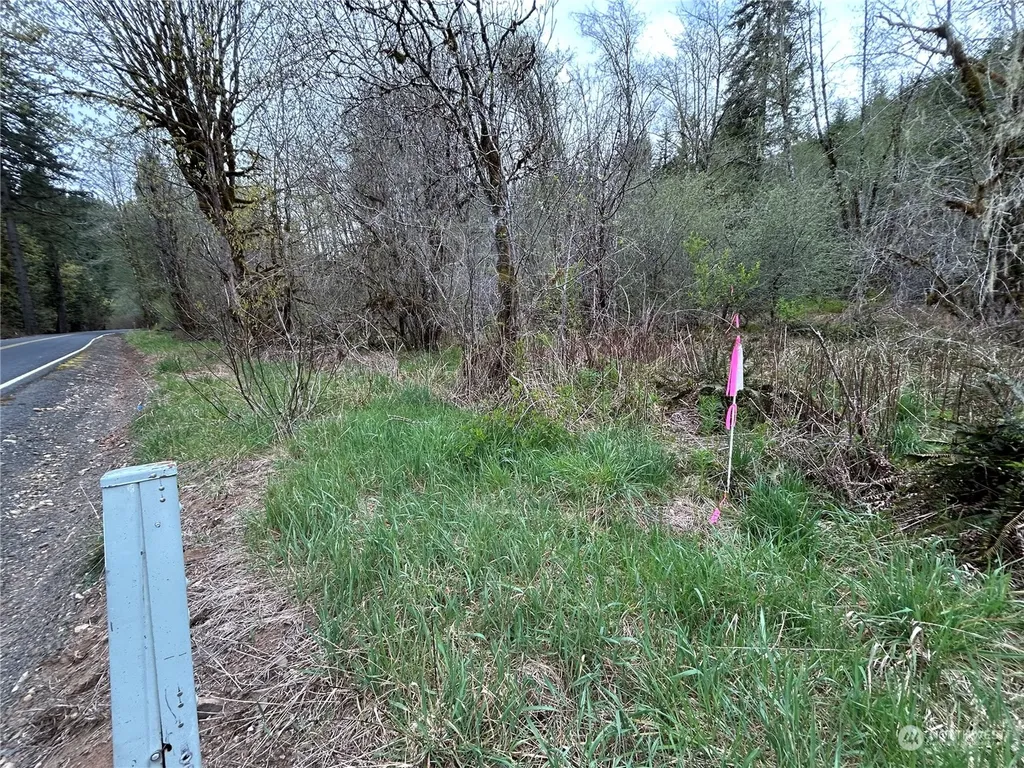 0 Abernathy Creek Road Longview WA 98632