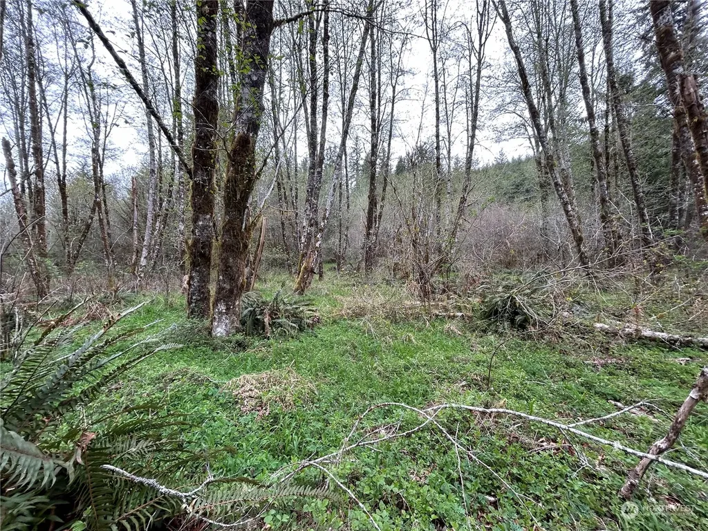 0 Abernathy Creek Road Longview WA 98632
