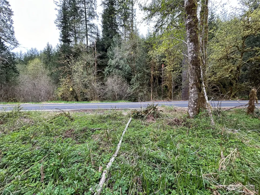 0 Abernathy Creek Road Longview WA 98632