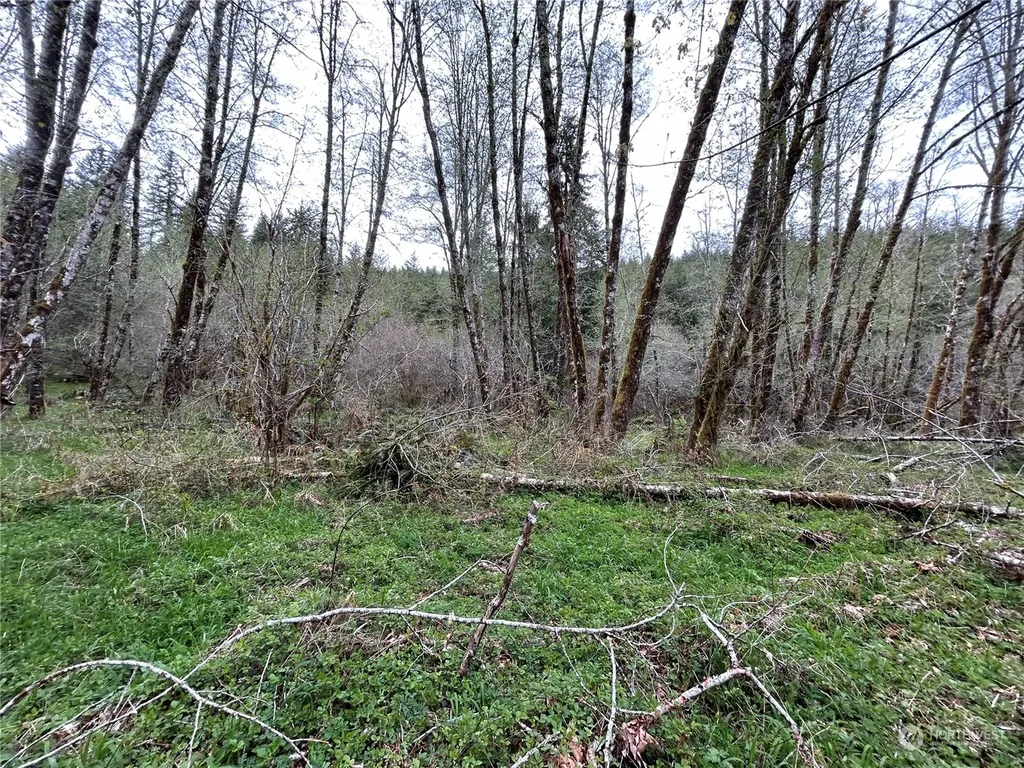 0 Abernathy Creek Road Longview WA 98632