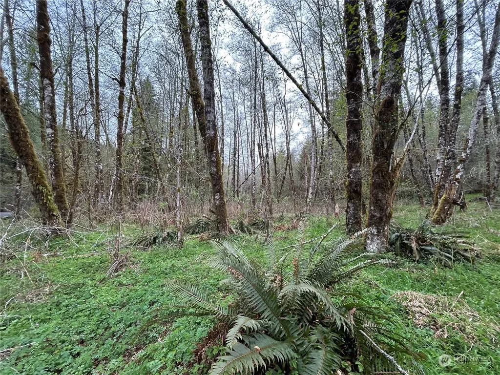 0 Abernathy Creek Road Longview WA 98632