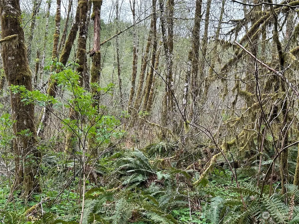 0 Abernathy Creek Road Longview WA 98632