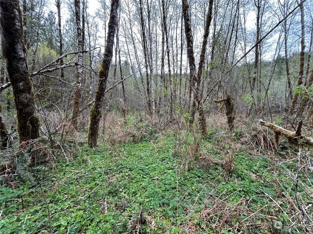0 Abernathy Creek Road Longview WA 98632