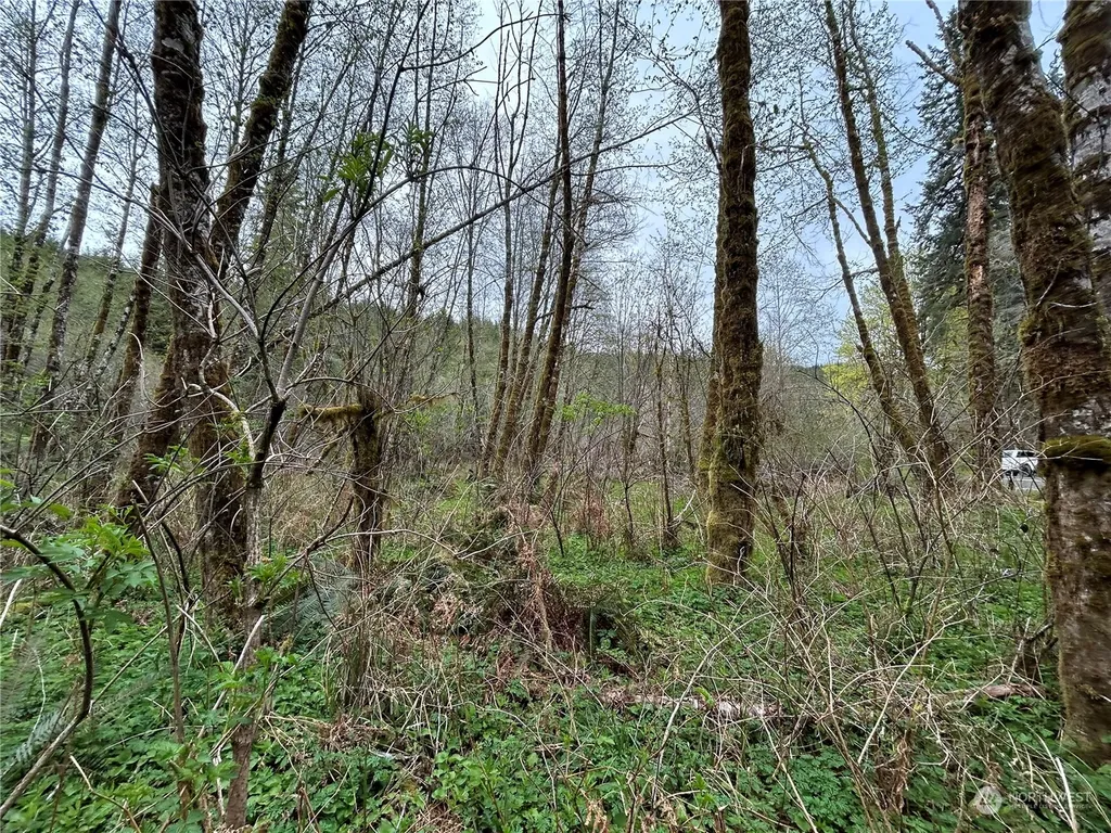 0 Abernathy Creek Road Longview WA 98632