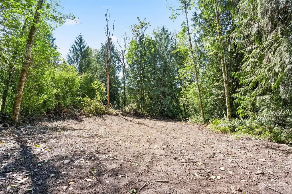 231 Oxbow Lake Lane Toledo WA 98591