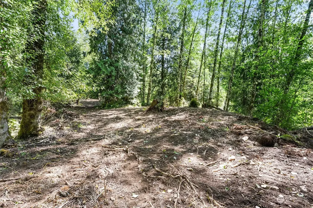 231 Oxbow Lake Lane Toledo WA 98591