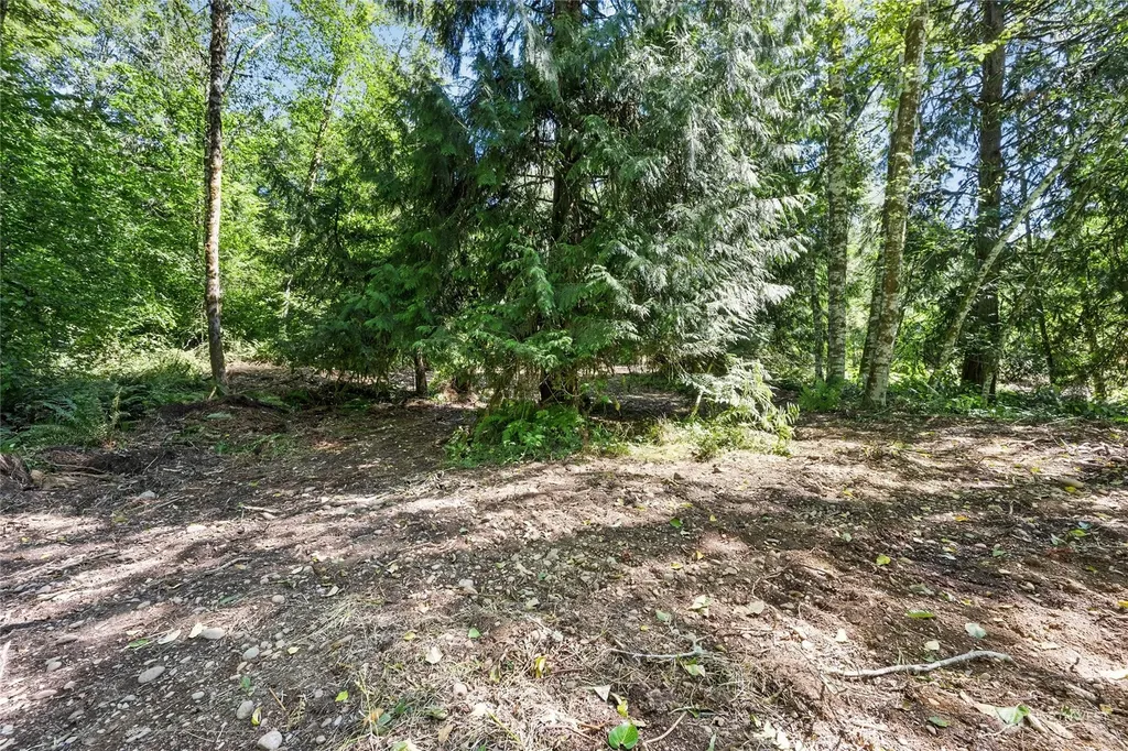 231 Oxbow Lake Lane Toledo WA 98591