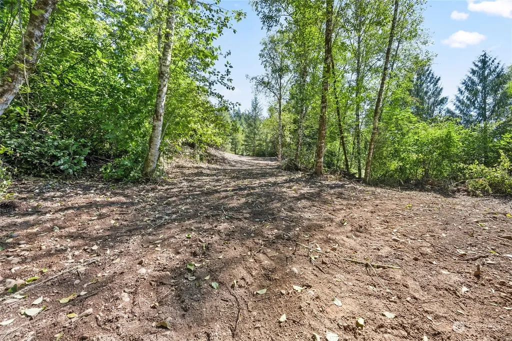 231 Oxbow Lake Lane Toledo WA 98591