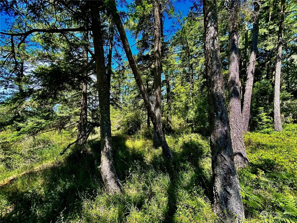 0 Salmonberry Lane Friday Harbor WA 98250