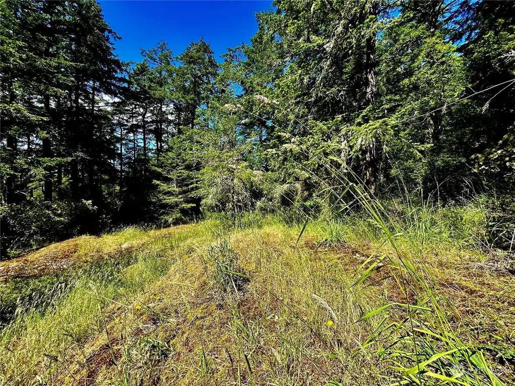 0 Salmonberry Lane Friday Harbor WA 98250