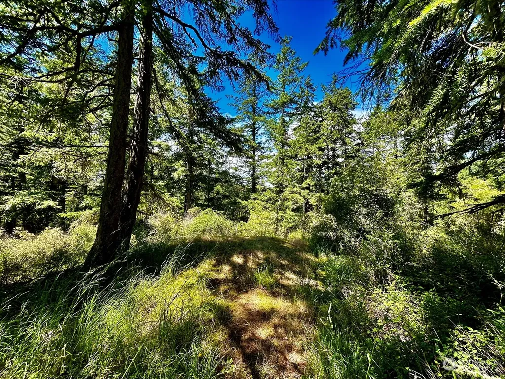 0 Salmonberry Lane Friday Harbor WA 98250