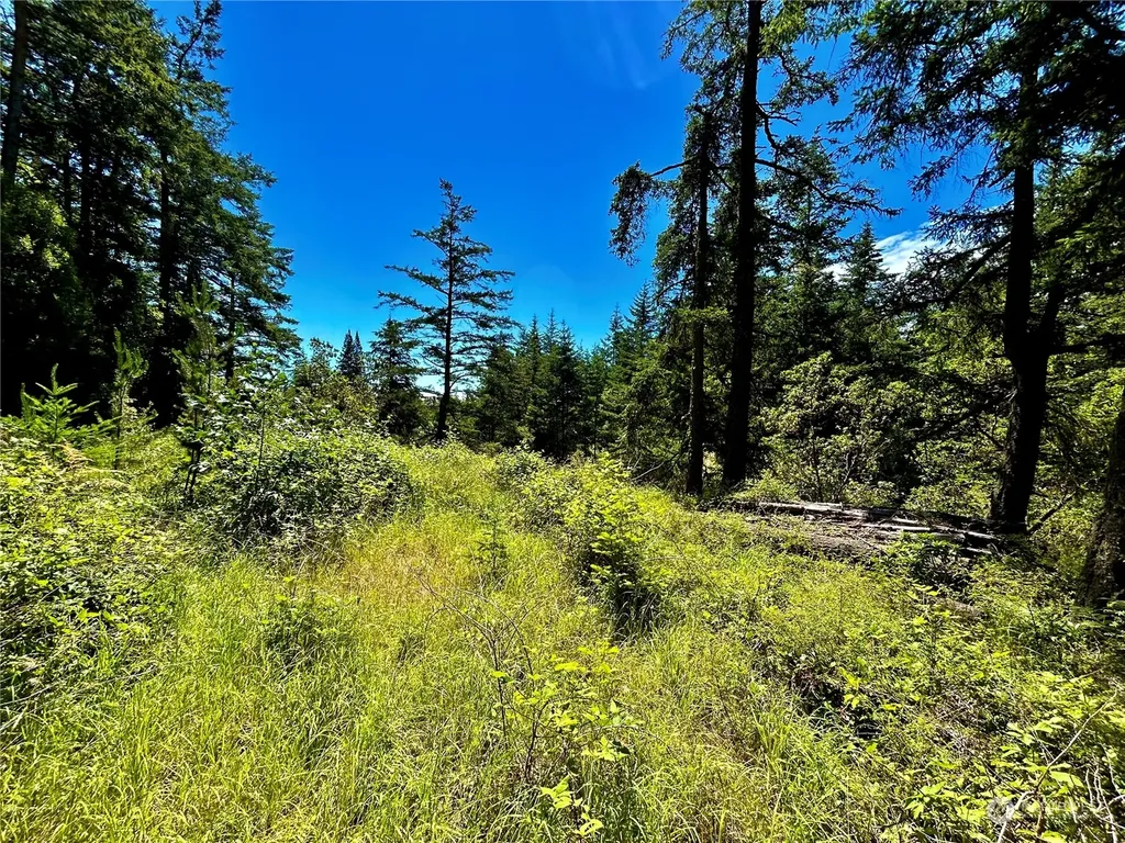 0 Salmonberry Lane Friday Harbor WA 98250