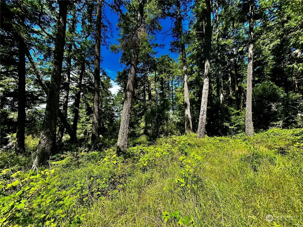 0 Salmonberry Lane Friday Harbor WA 98250