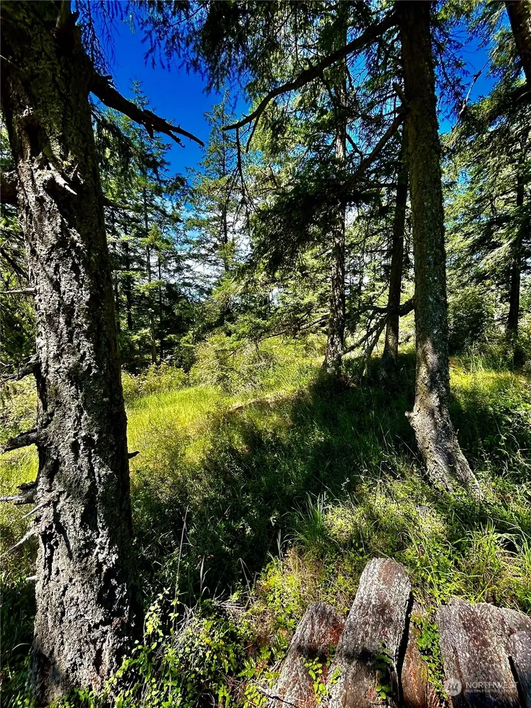 0 Salmonberry Lane Friday Harbor WA 98250