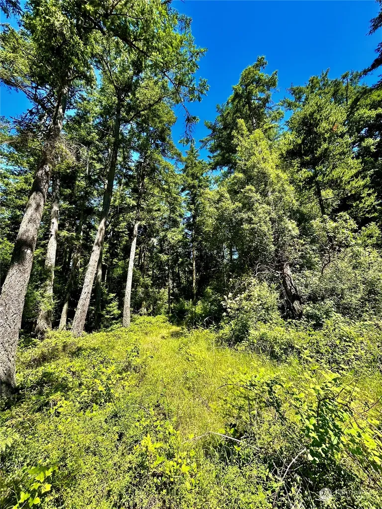 0 Salmonberry Lane Friday Harbor WA 98250