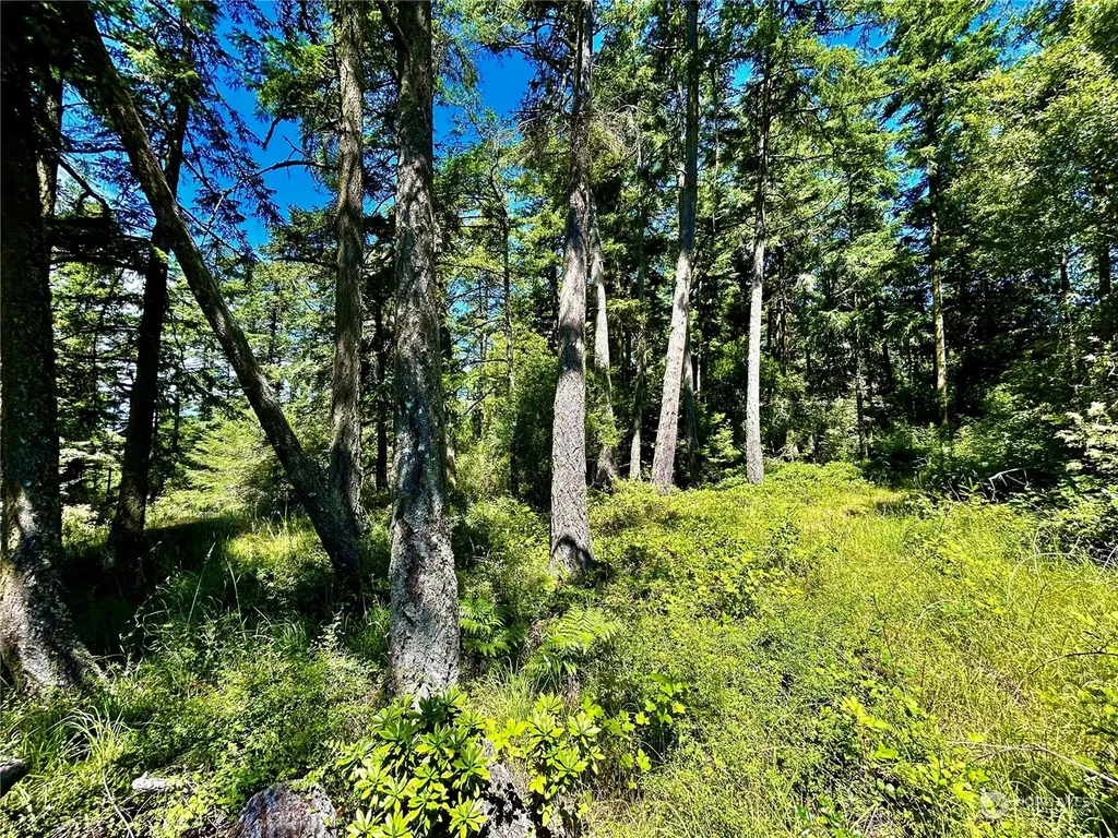 0 Salmonberry Lane Friday Harbor WA 98250