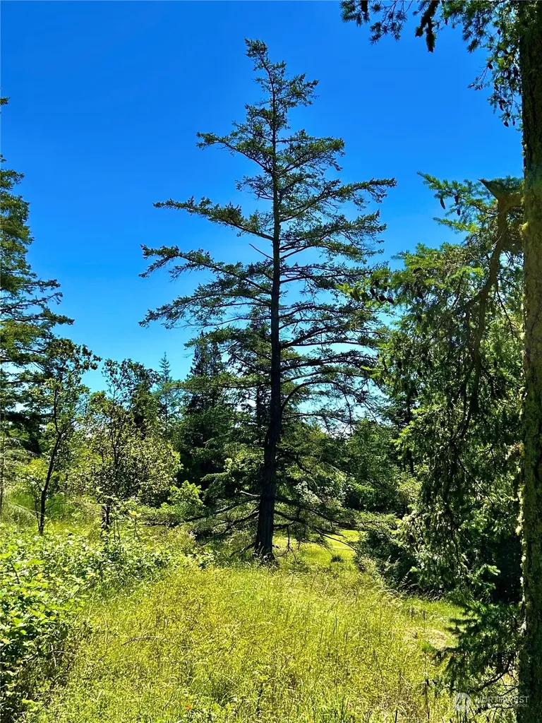 0 Salmonberry Lane Friday Harbor WA 98250