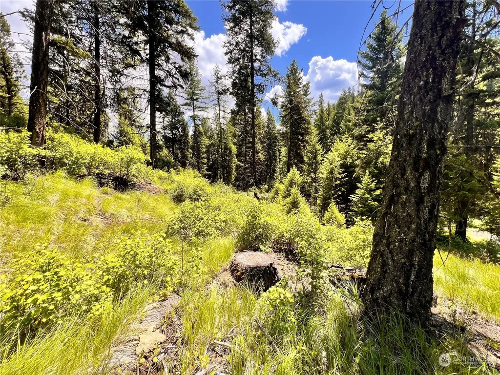 0 Old Kettle Falls Road Republic WA 99166