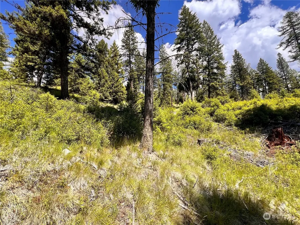 0 Old Kettle Falls Road Republic WA 99166