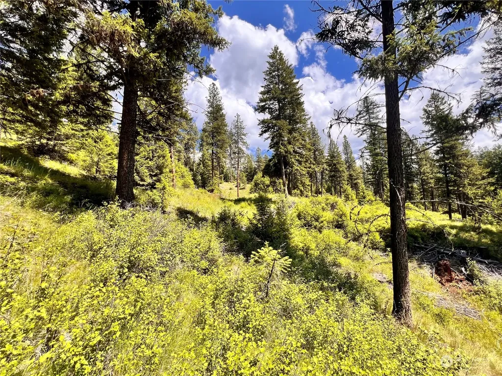 0 Old Kettle Falls Road Republic WA 99166