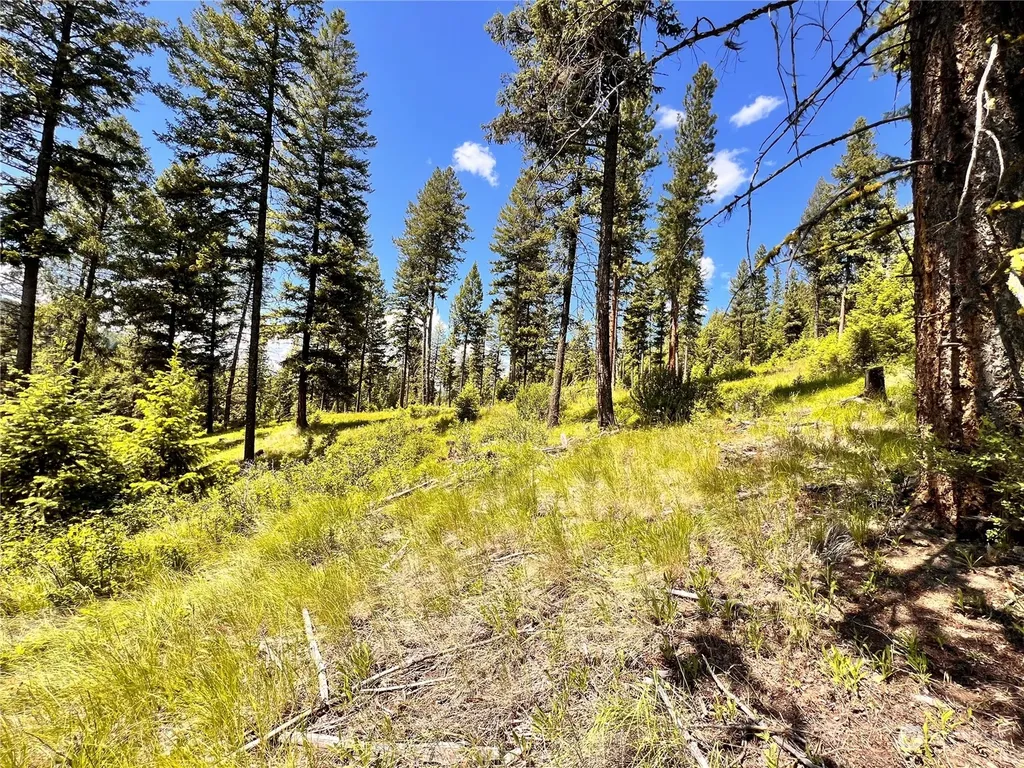 0 Old Kettle Falls Road Republic WA 99166