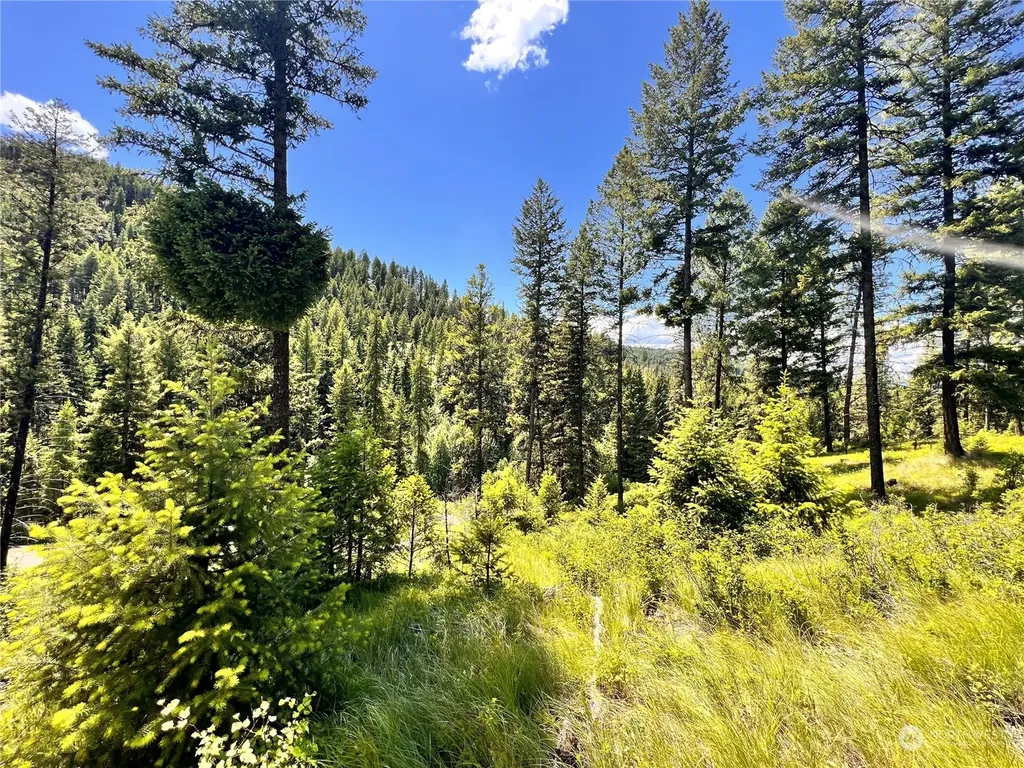 0 Old Kettle Falls Road Republic WA 99166
