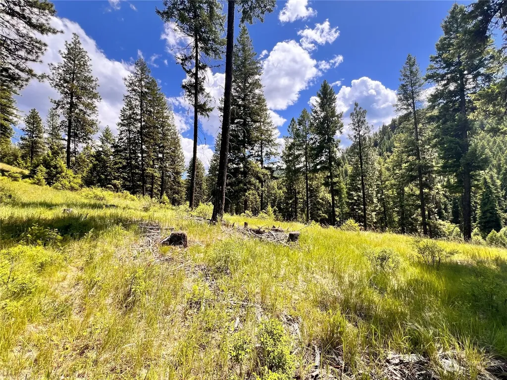 0 Old Kettle Falls Road Republic WA 99166