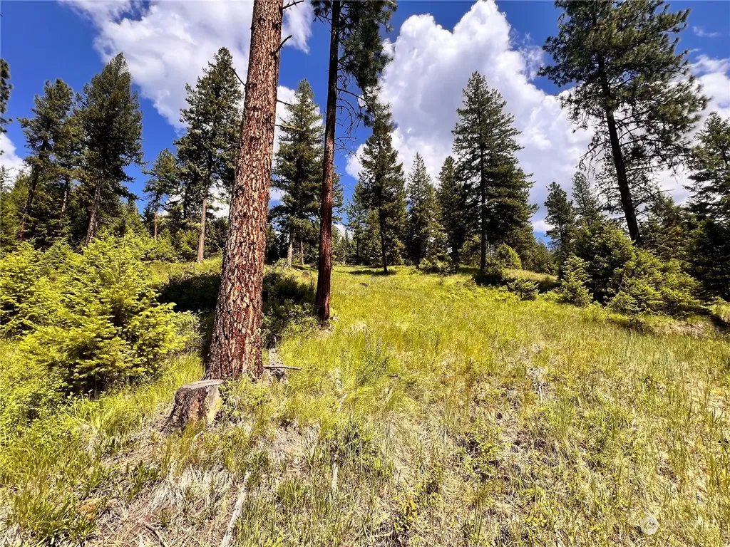 0 Old Kettle Falls Road Republic WA 99166