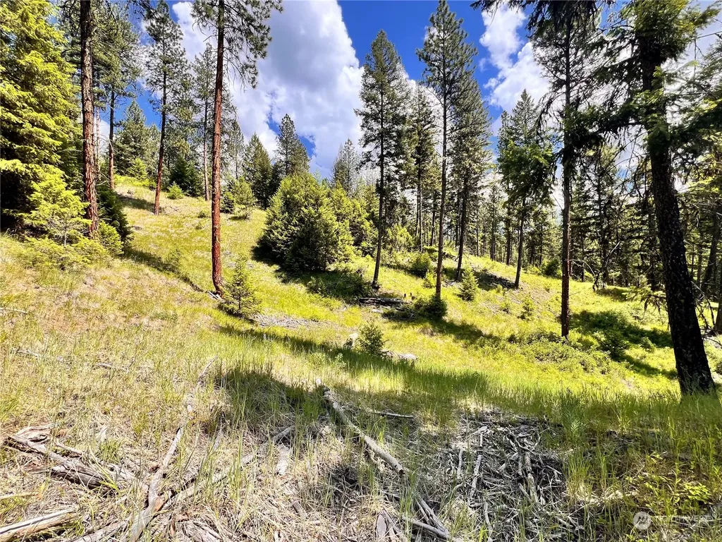 0 Old Kettle Falls Road Republic WA 99166