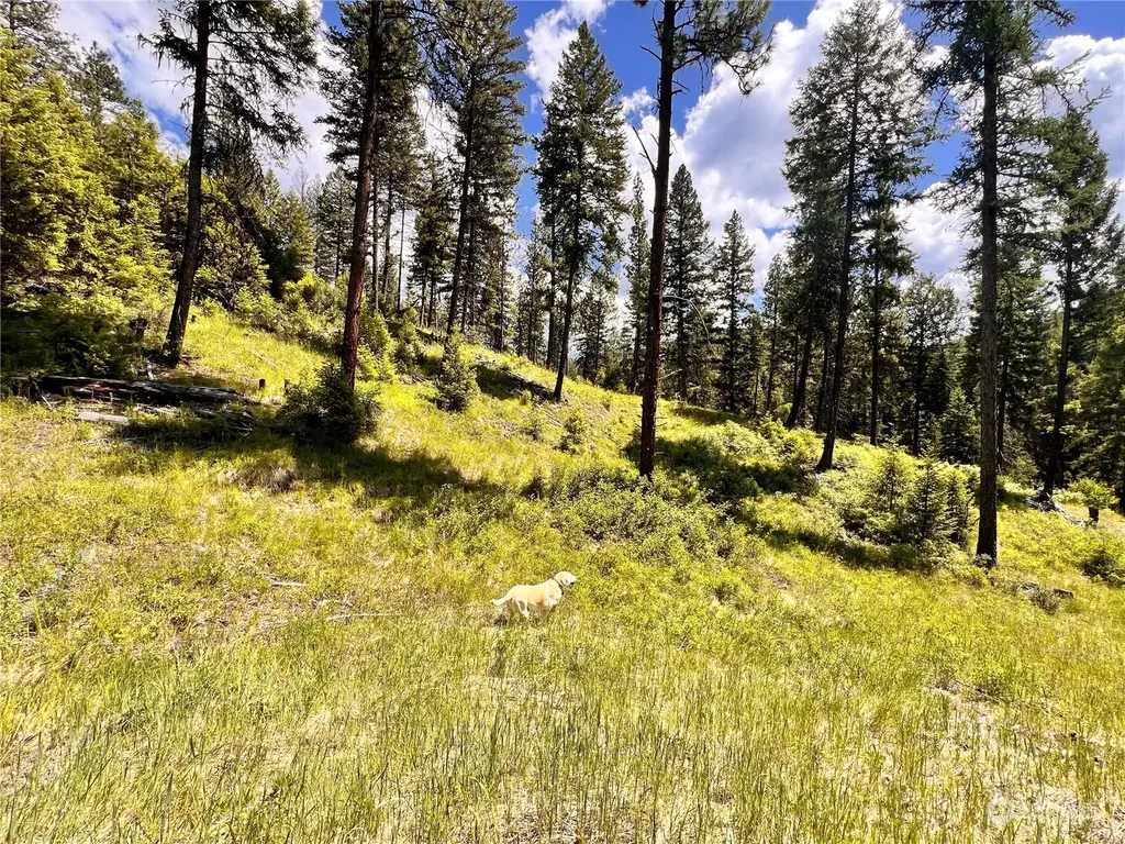 0 Old Kettle Falls Road Republic WA 99166