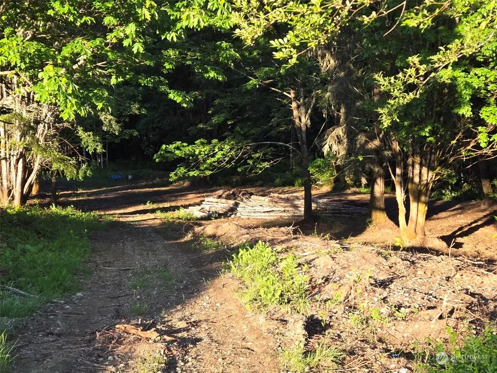 961 E Rasor Road Belfair WA 98528