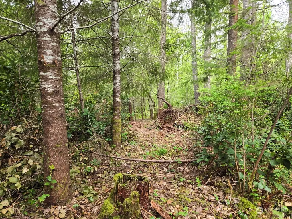 961 E Rasor Road Belfair WA 98528