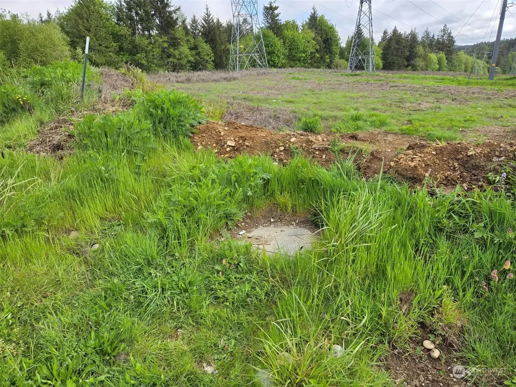 961 E Rasor Road Belfair WA 98528