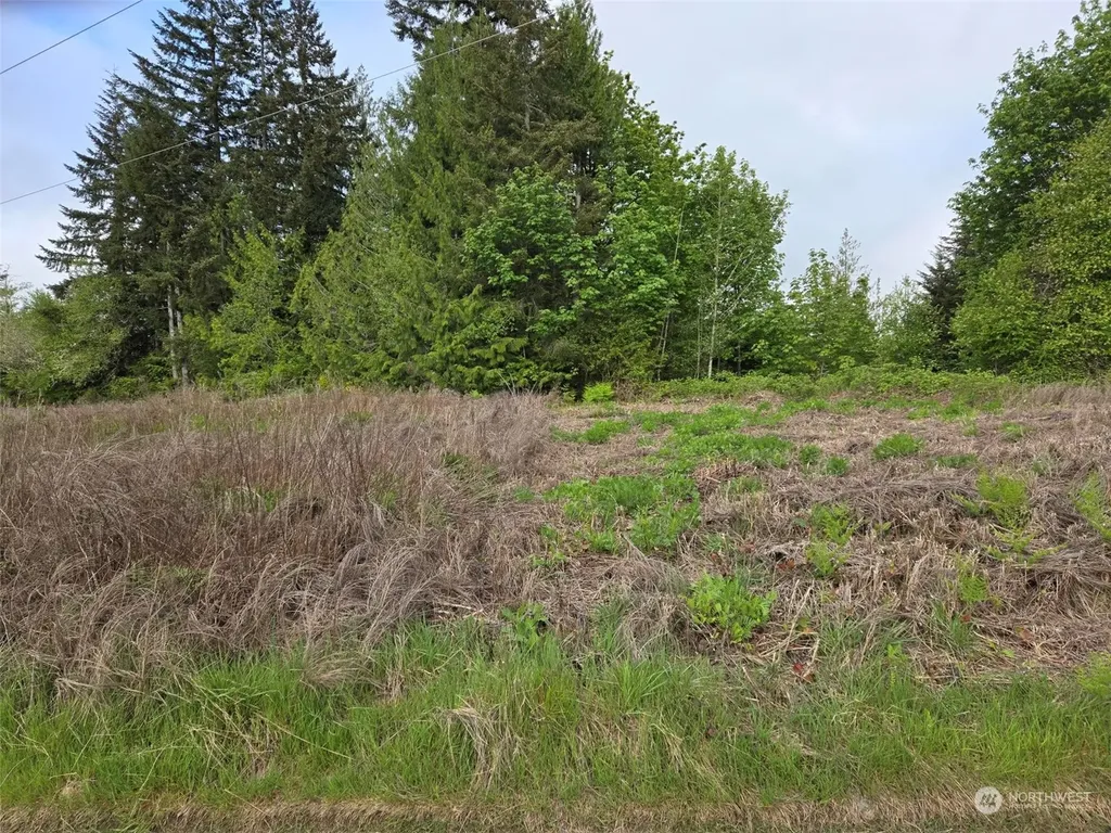 961 E Rasor Road Belfair WA 98528