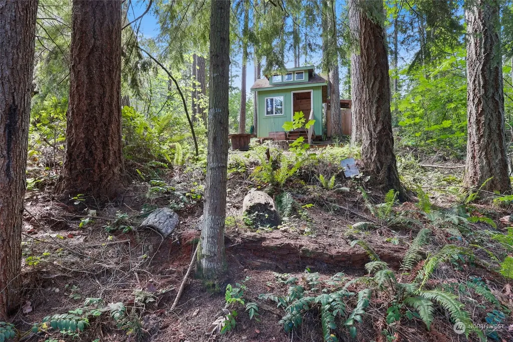 22206 Bluewater Drive SE Yelm WA 98597