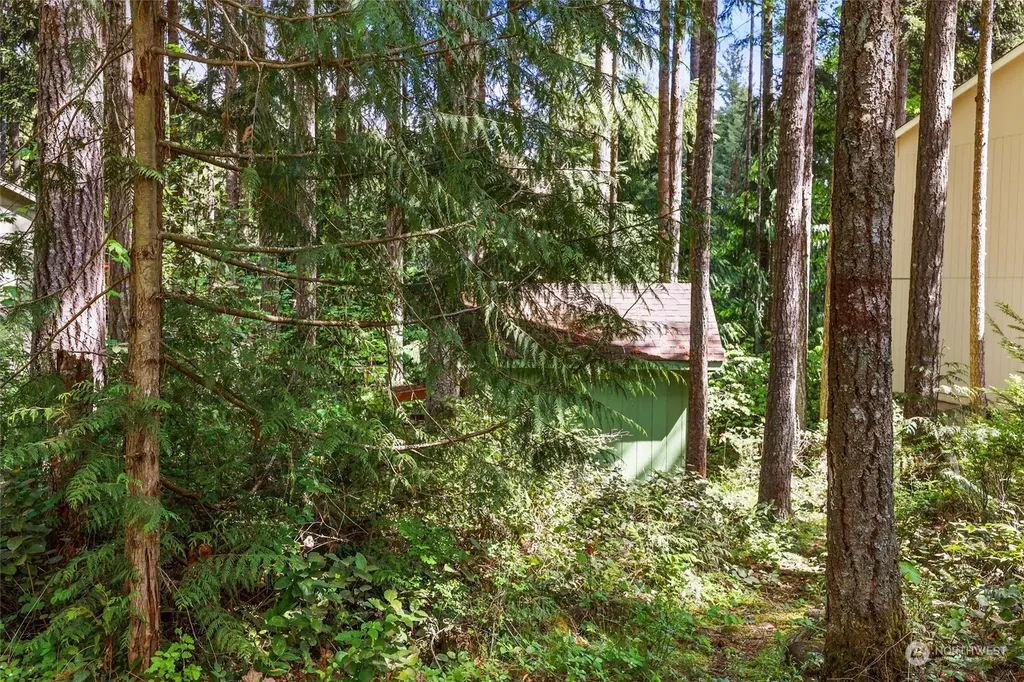 22206 Bluewater Drive SE Yelm WA 98597