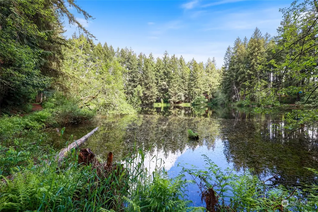 22206 Bluewater Drive SE Yelm WA 98597