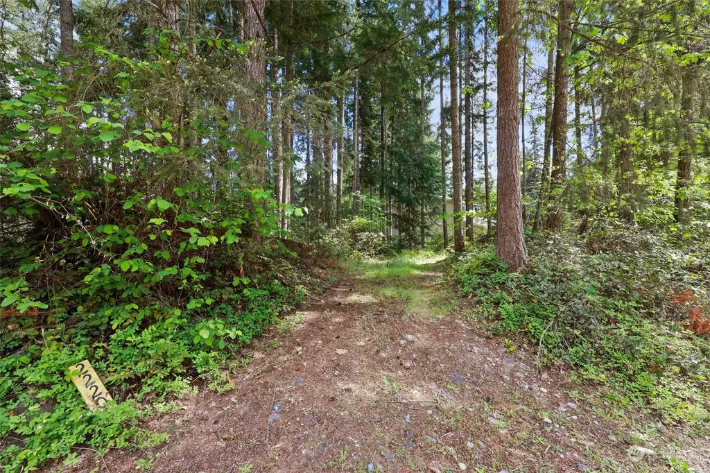 22206 Bluewater Drive SE Yelm WA 98597