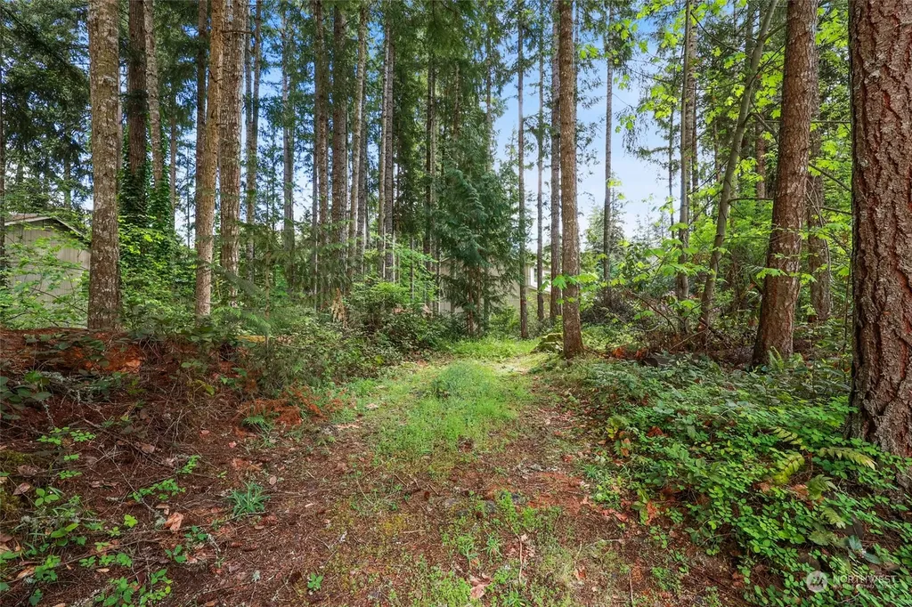 22206 Bluewater Drive SE Yelm WA 98597