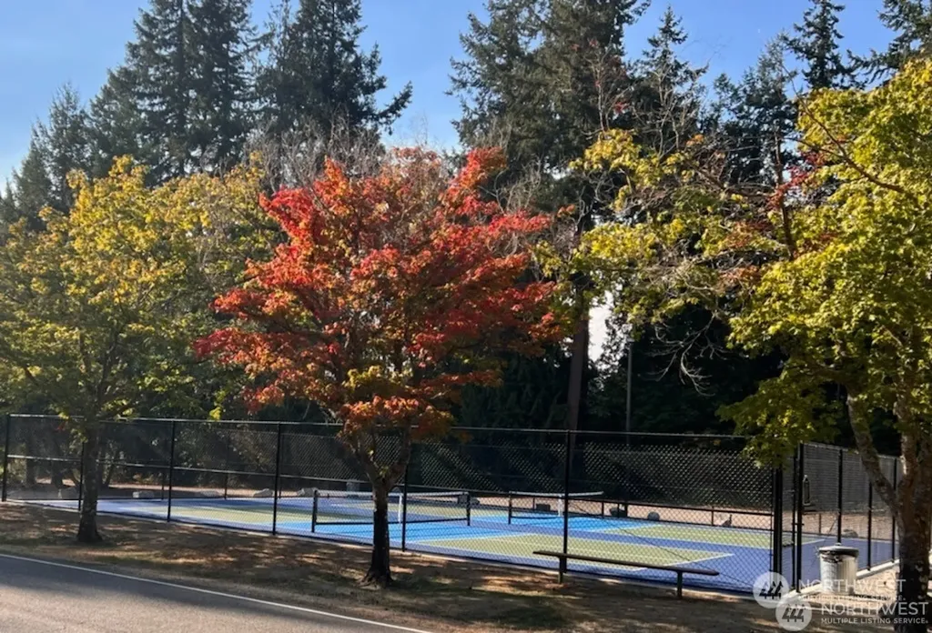 22206 Bluewater Drive SE Yelm WA 98597