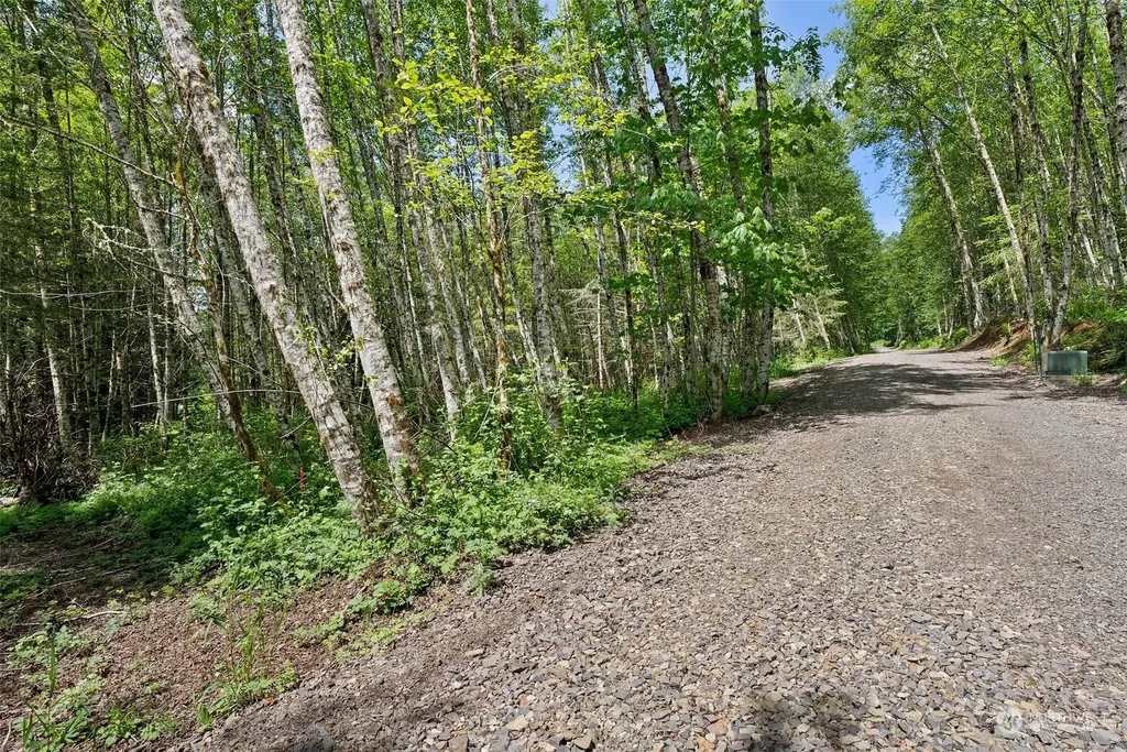 178 Owl Creek Lane Morton WA 98356