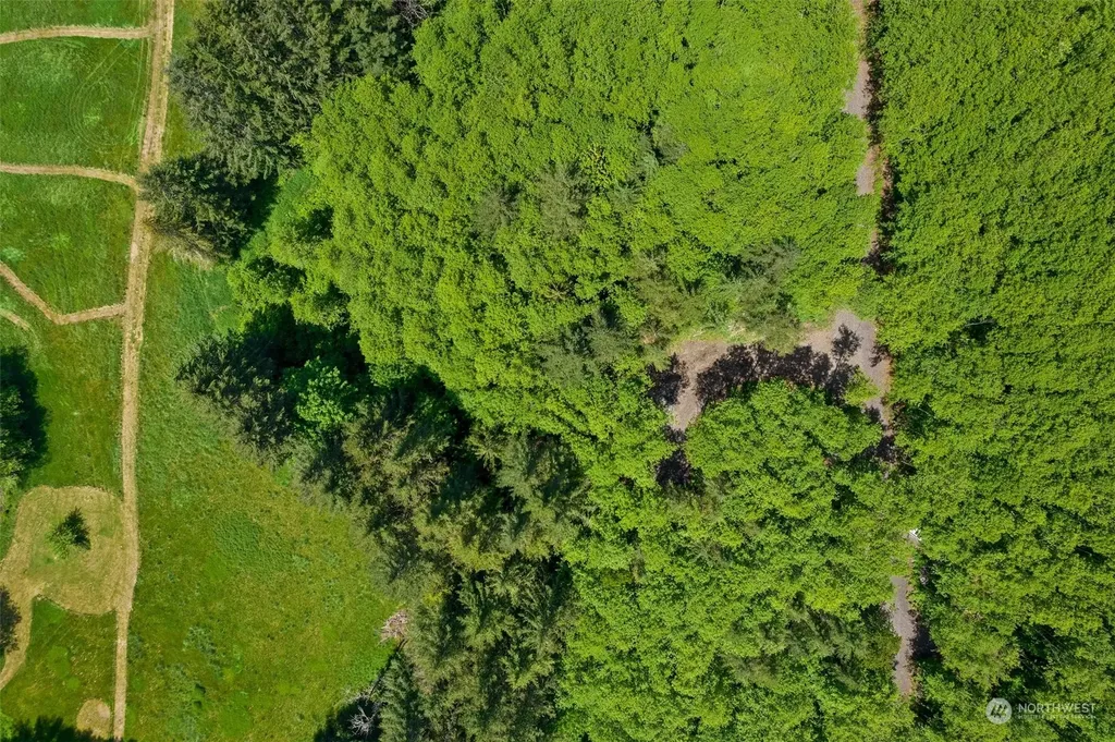 178 Owl Creek Lane Morton WA 98356