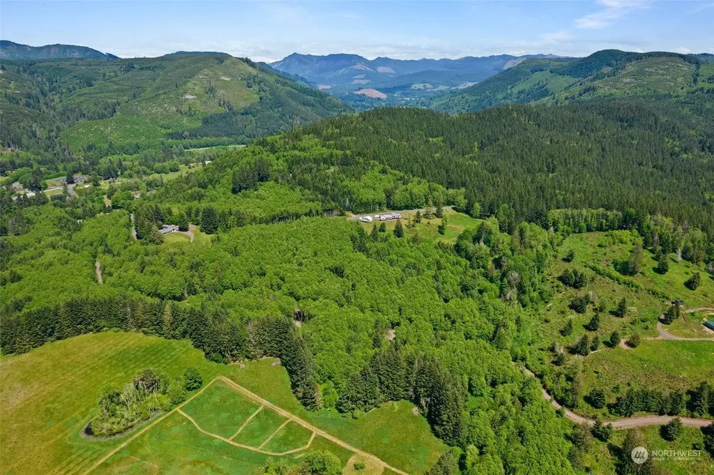 162 Owl Creek Lane Morton WA 98356