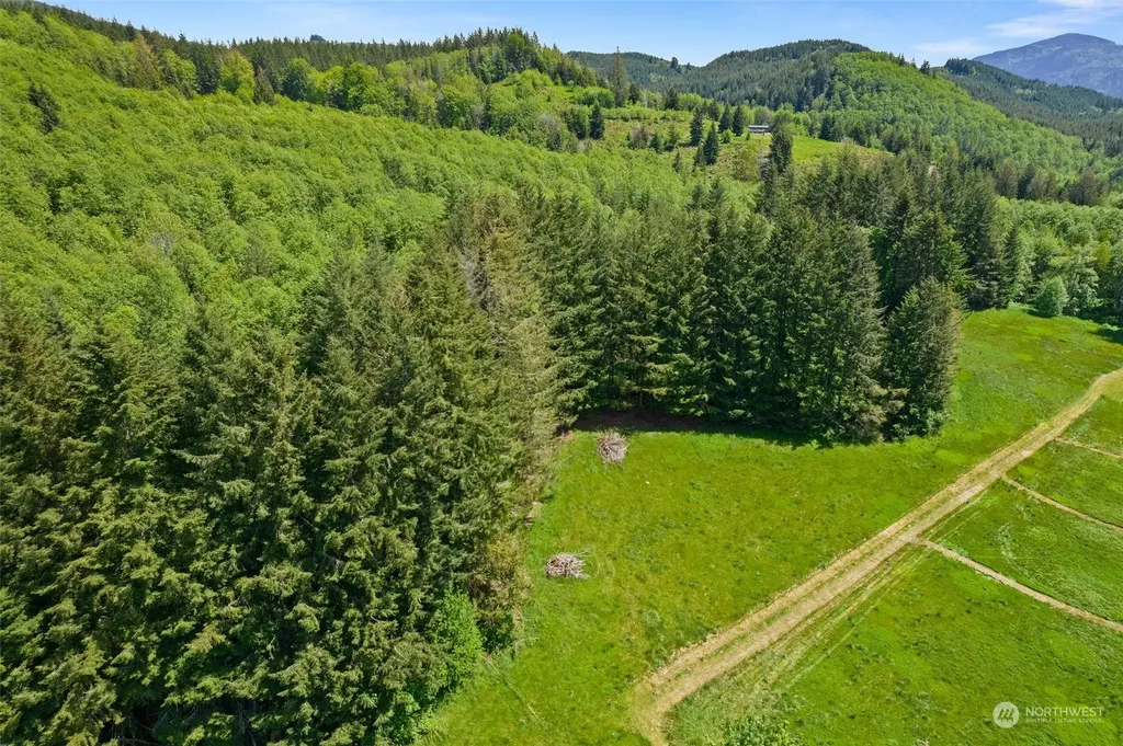 162 Owl Creek Lane Morton WA 98356