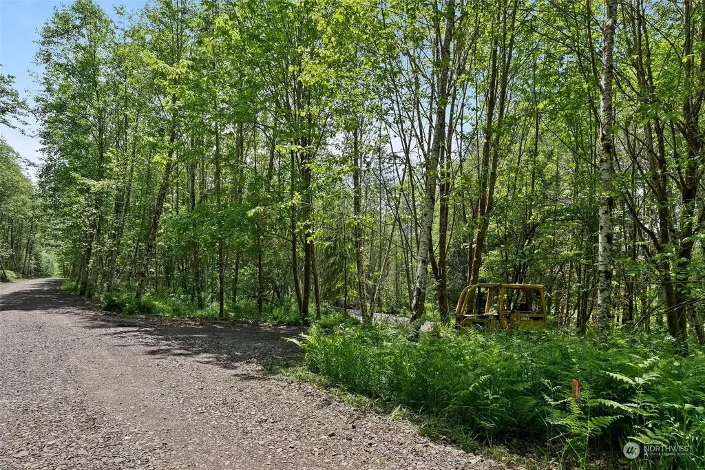 162 Owl Creek Lane Morton WA 98356